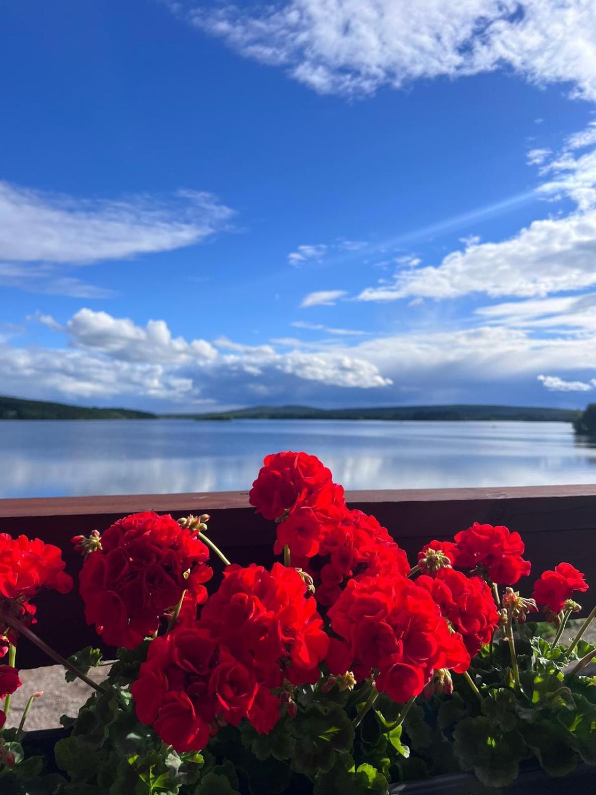Jauri Resort Kemijärvi Eksteriør bilde